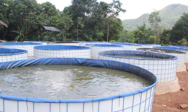 Produksi perikanan tangkap belum maksimal, Bantul fokus pada budidaya