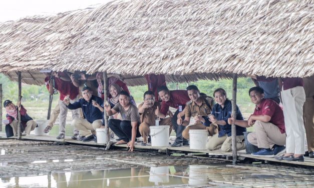 Kombinasi kincir dan metode ablasi dalam meningkatkan produktivitas kepiting soka