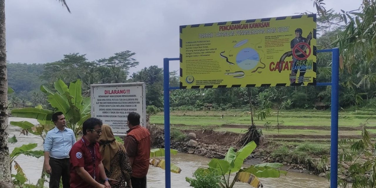 Pemerintah melarang penangkapan sidat di 10 lokasi ini