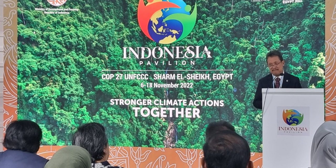 Ekonomi biru sebagai salah satu strategi pemerintah turunkan emisi karbon