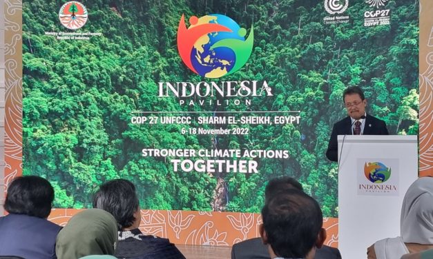 Ekonomi biru sebagai salah satu strategi pemerintah turunkan emisi karbon
