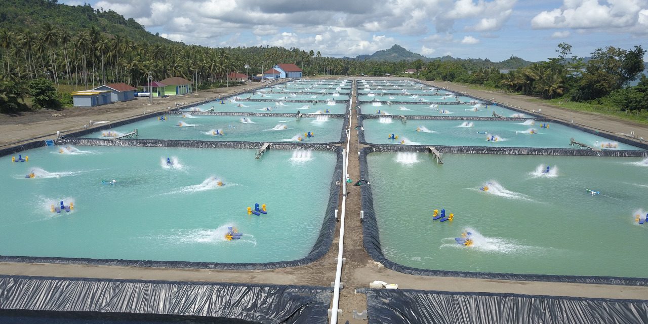Ocean 20: Sektor akuakultur diharapkan jadi tumpuan sumber pangan biru