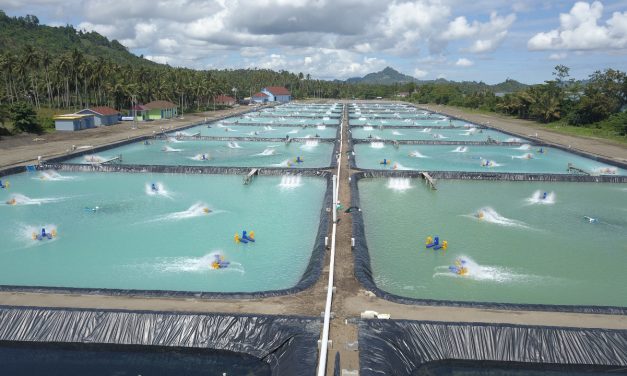 Ocean 20: Sektor akuakultur diharapkan jadi tumpuan sumber pangan biru