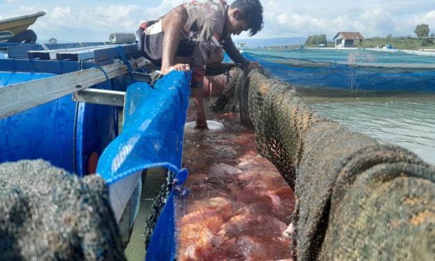 Miliki waduk 8,8 ribu hektar, namun konsumsi ikan di Wonogiri masih rendah