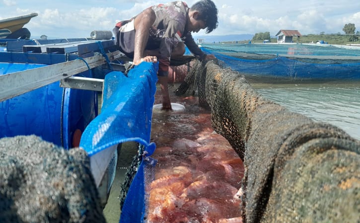 Miliki waduk 8,8 ribu hektar, namun konsumsi ikan di Wonogiri masih rendah