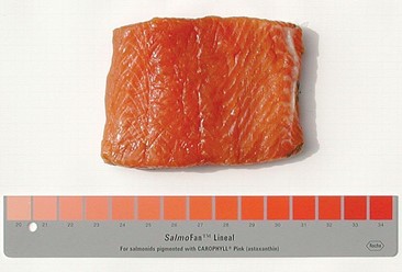 SalmoFan™ lineal by DSM