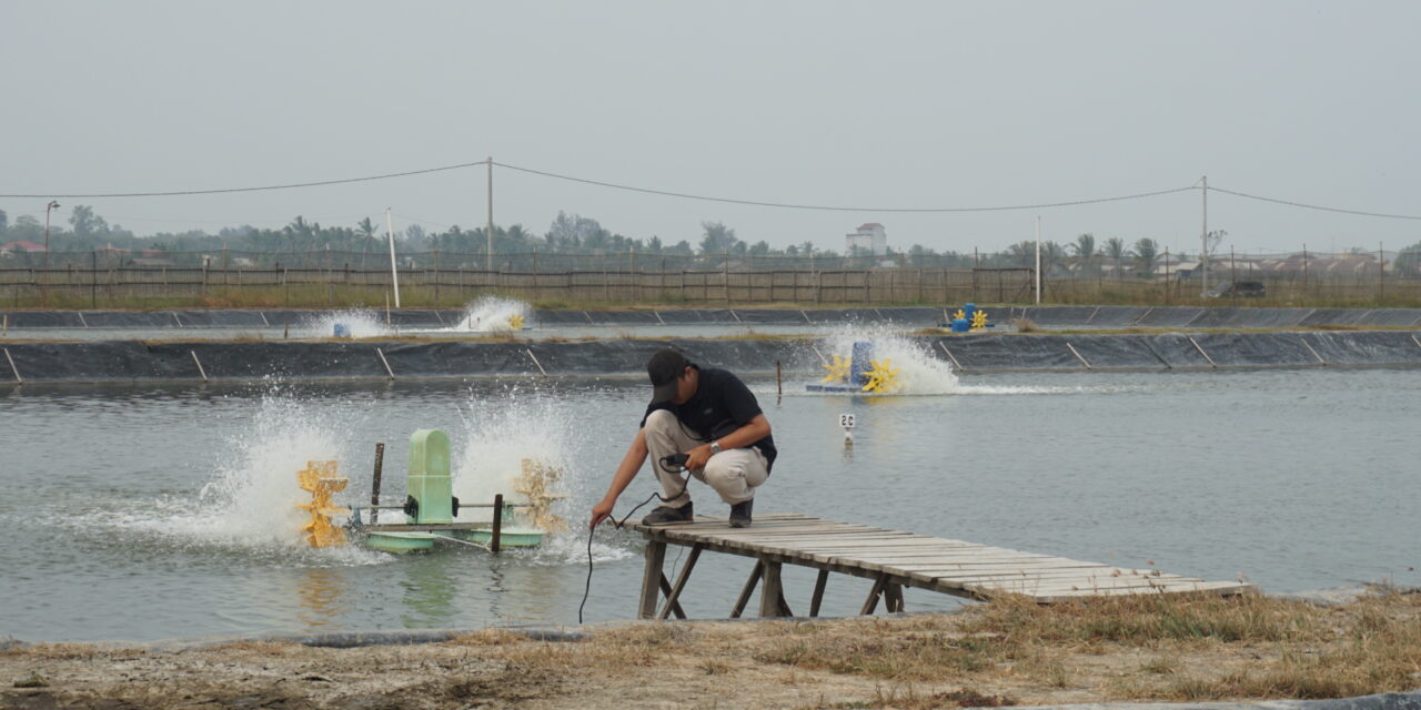 Sertifikasi kompetensi penting untuk daya saing dan kemajuan akuakultur