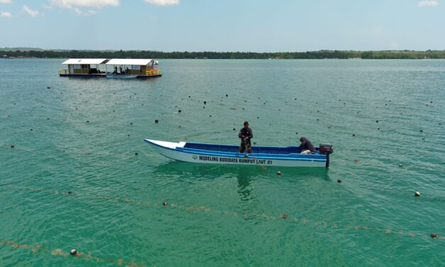 Rumput laut jadi andalan blue food