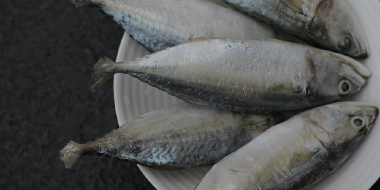 Ahli Nutrisi: Cegah stunting dengan ikan segar berkualitas