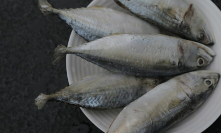 Ahli Nutrisi: Cegah stunting dengan ikan segar berkualitas