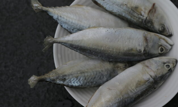 Ahli Nutrisi: Cegah stunting dengan ikan segar berkualitas