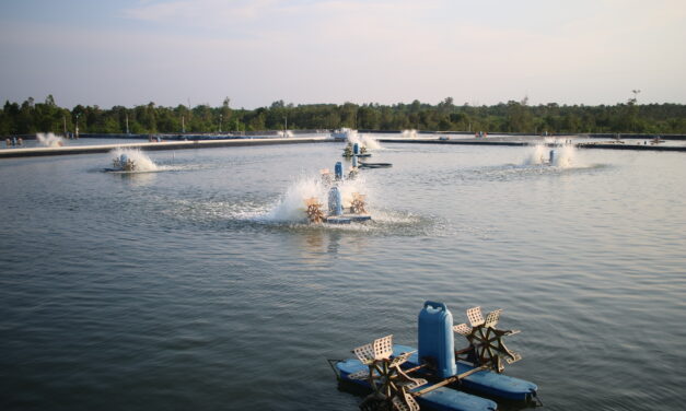 Revitalizing Indonesia’s maritime strategy: Harnessing Blue Economy for inclusive growth