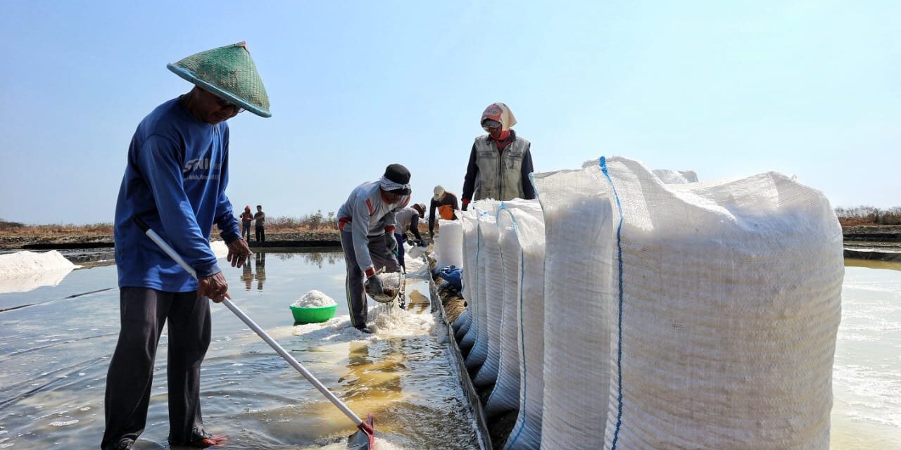 Produksi garam nasional capai 2,5 juta ton