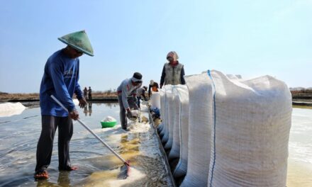 Produksi garam nasional capai 2,5 juta ton