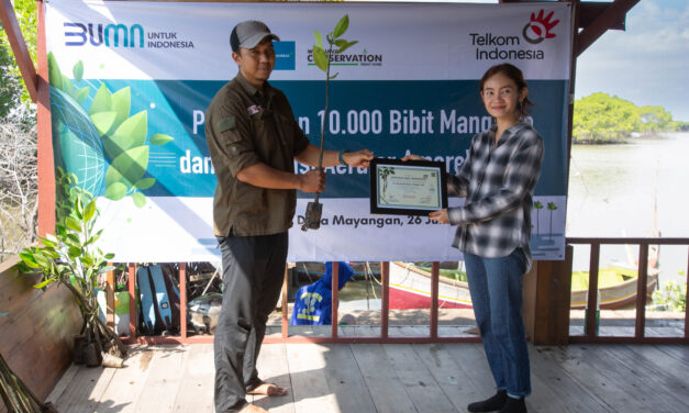 Penanaman 10 ribu mangrove: Kolaborasi nyata mitigasi perubahan iklim