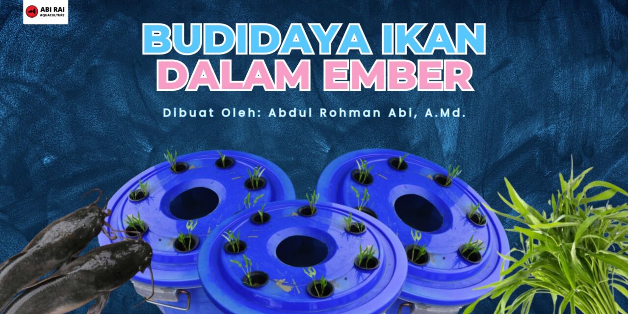 Influencer perikanan Abdul Rohman Abi kenalkan budikdamber kepada mahasiswa IPB