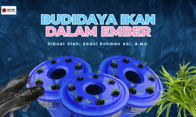 Influencer perikanan Abdul Rohman Abi kenalkan budikdamber kepada mahasiswa IPB