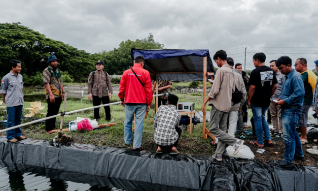 FisTx kenalkan teknologi elektrolisis untuk budidaya udang, pertama di Indonesia