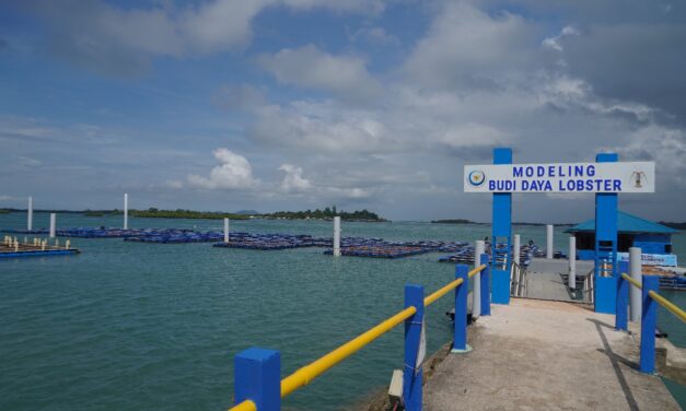 Produksi akuakultur Indonesia masih tertinggal dari Vietnam