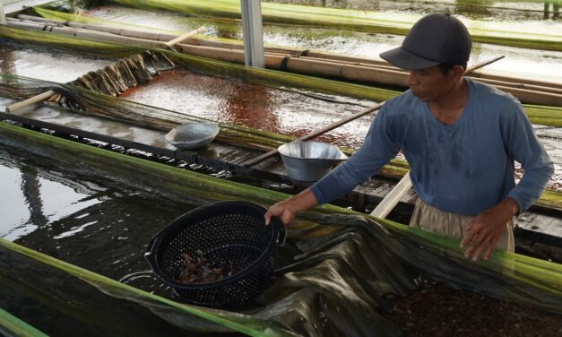 Perpres 6/2025: Pembudidaya skala kecil jadi prioritas penerima pupuk bersubsidi