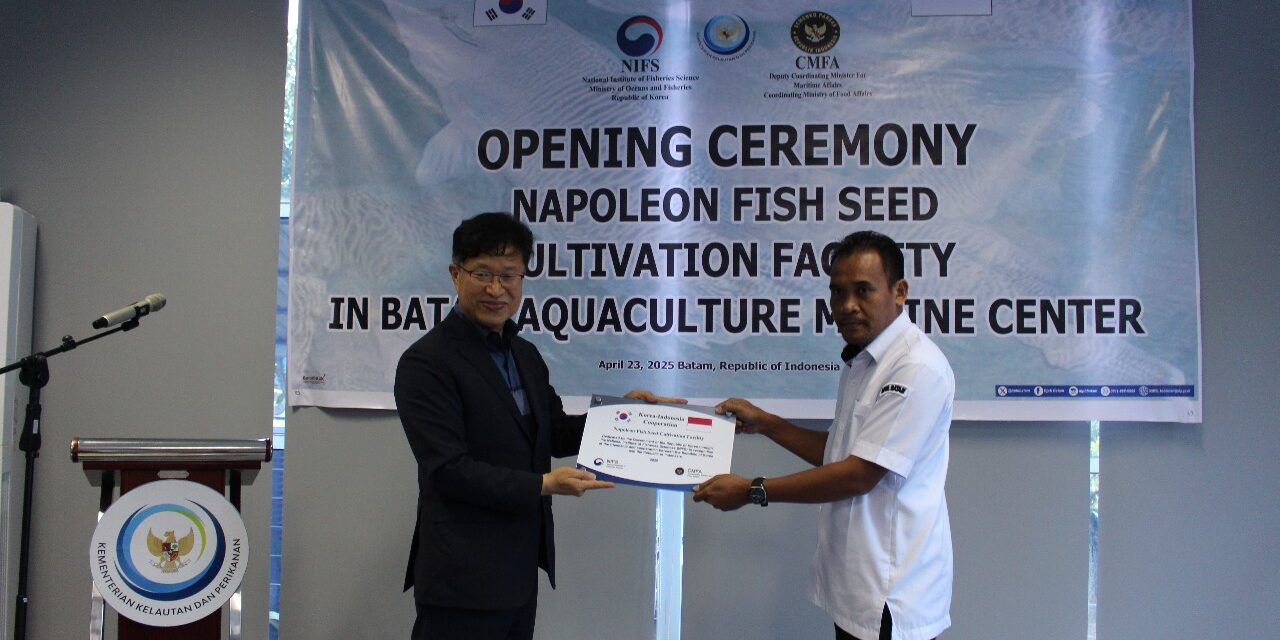 Kolaborasi Indonesia-Korea Selatan jaga kelestarian ikan napoleon lewat budidaya