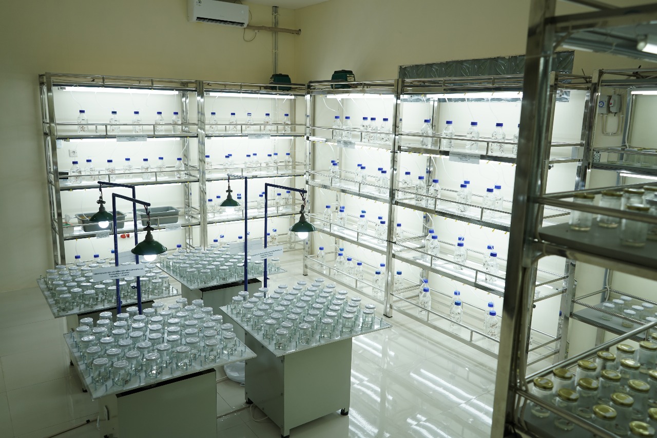 Laboratorium kultur jaringan. ©KKP