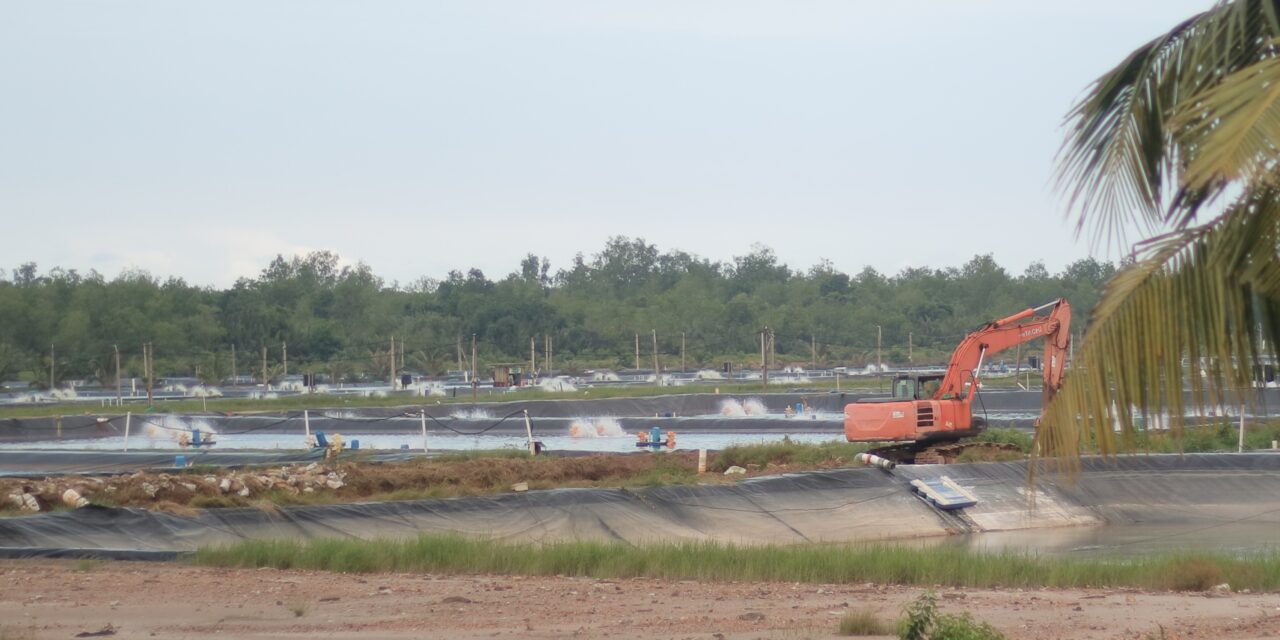 Masihkah udang Indonesia kompetitif di tengah banyak ketidakpastian?