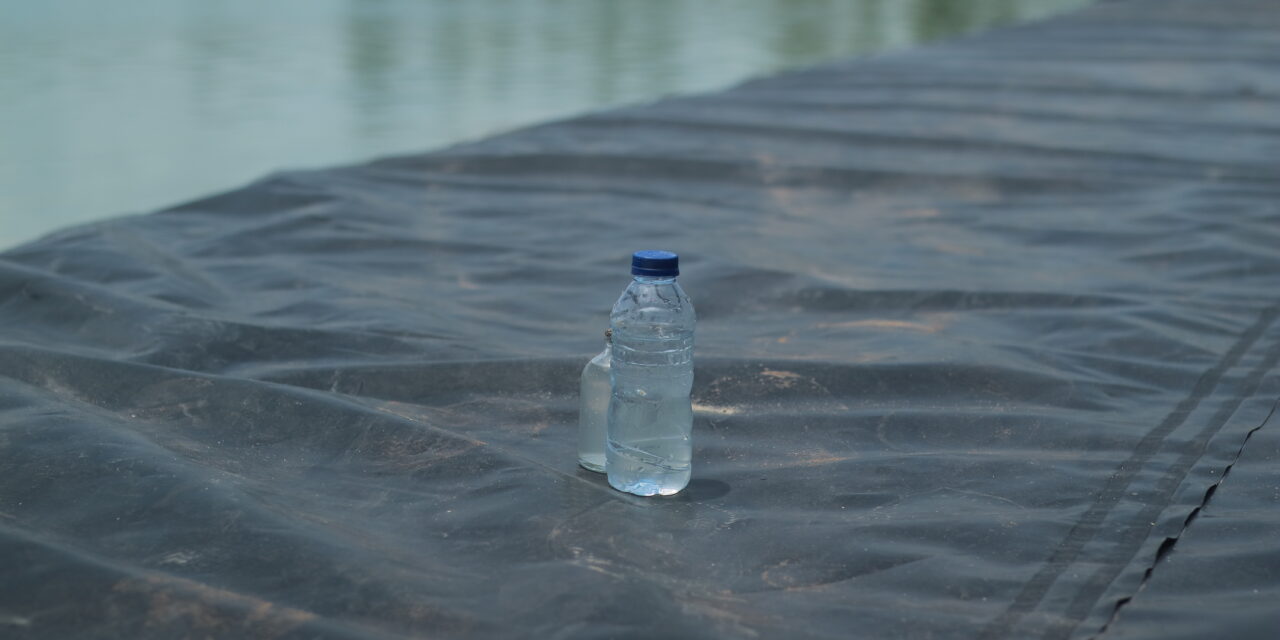 Mengapa konsorsium mikroba menjadi kunci keseimbangan tambak udang