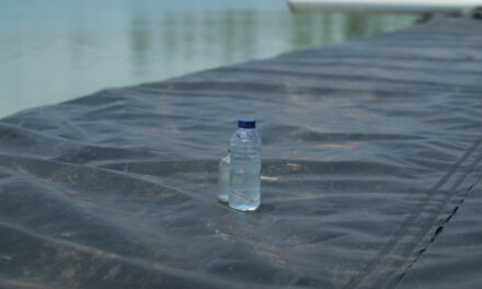 Mengapa konsorsium mikroba menjadi kunci keseimbangan tambak udang