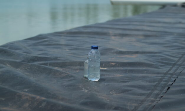 Mengapa konsorsium mikroba menjadi kunci keseimbangan tambak udang