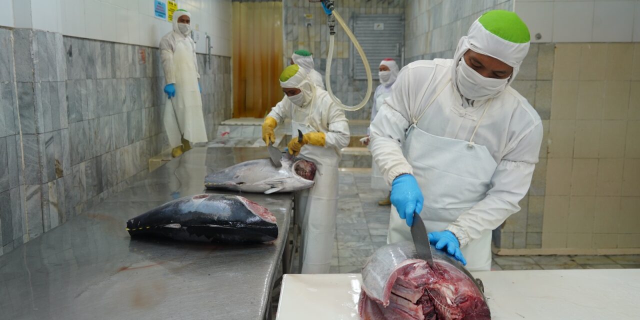 Tarif ekspor dihapus, tuna Indonesia kian percaya diri di Jepang?