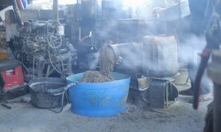 Penguatan kualitas bahan baku lokal pakan akuakultur