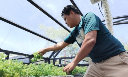 Indonesian seaweed: From shore to shelf