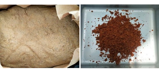 Gambar 1. Tepung ikan lokal (kanan) dan tepung ikan impor (kiri). ©Yuli Andriani