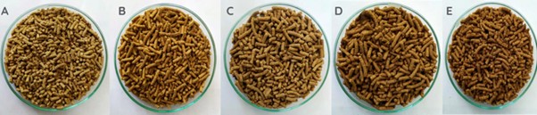 Gambar 2. Warna pakan semakin gelap dengan penambahan bahan pakan lokal. ©Yuli Andriani