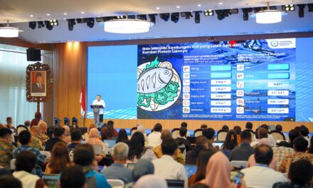 Stelina hadirkan transparansi rantai pasok perikanan dari hulu ke hilir