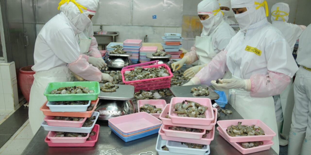 Sejumlah asosiasi petambak tuntut penghentian impor udang, KKP beri klarifikasi