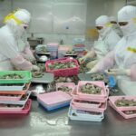 Sejumlah asosiasi petambak tuntut penghentian impor udang, KKP beri klarifikasi