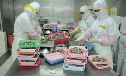 Sejumlah asosiasi petambak tuntut penghentian impor udang, KKP beri klarifikasi