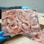 Cegah masuk pasar lokal, KKP amankan 1.048 ton udang impor